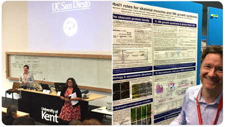 European Muscle Conference 2019, Canterbury