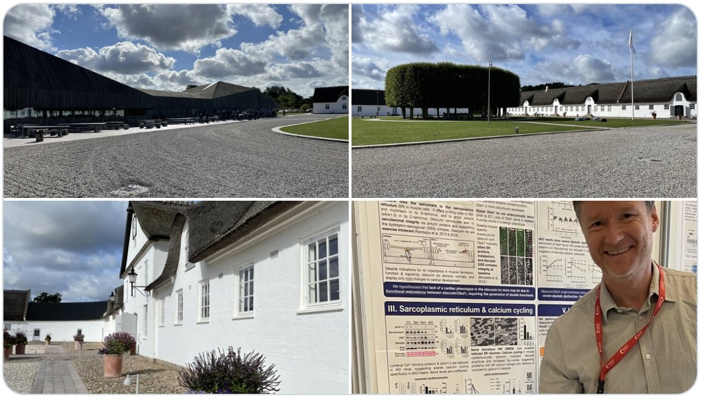 Metabolism in Action Conference 2022